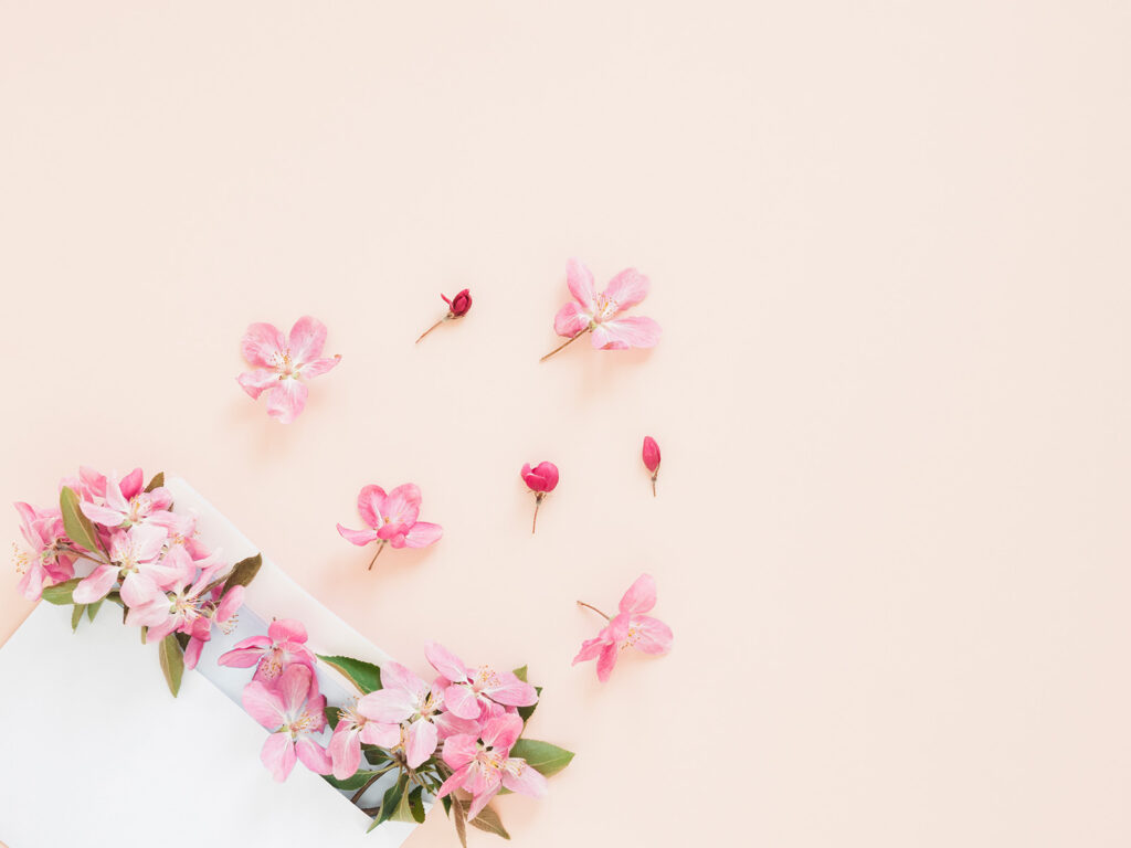 やどかりサポート鹿児島