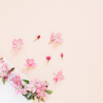 やどかりサポート鹿児島