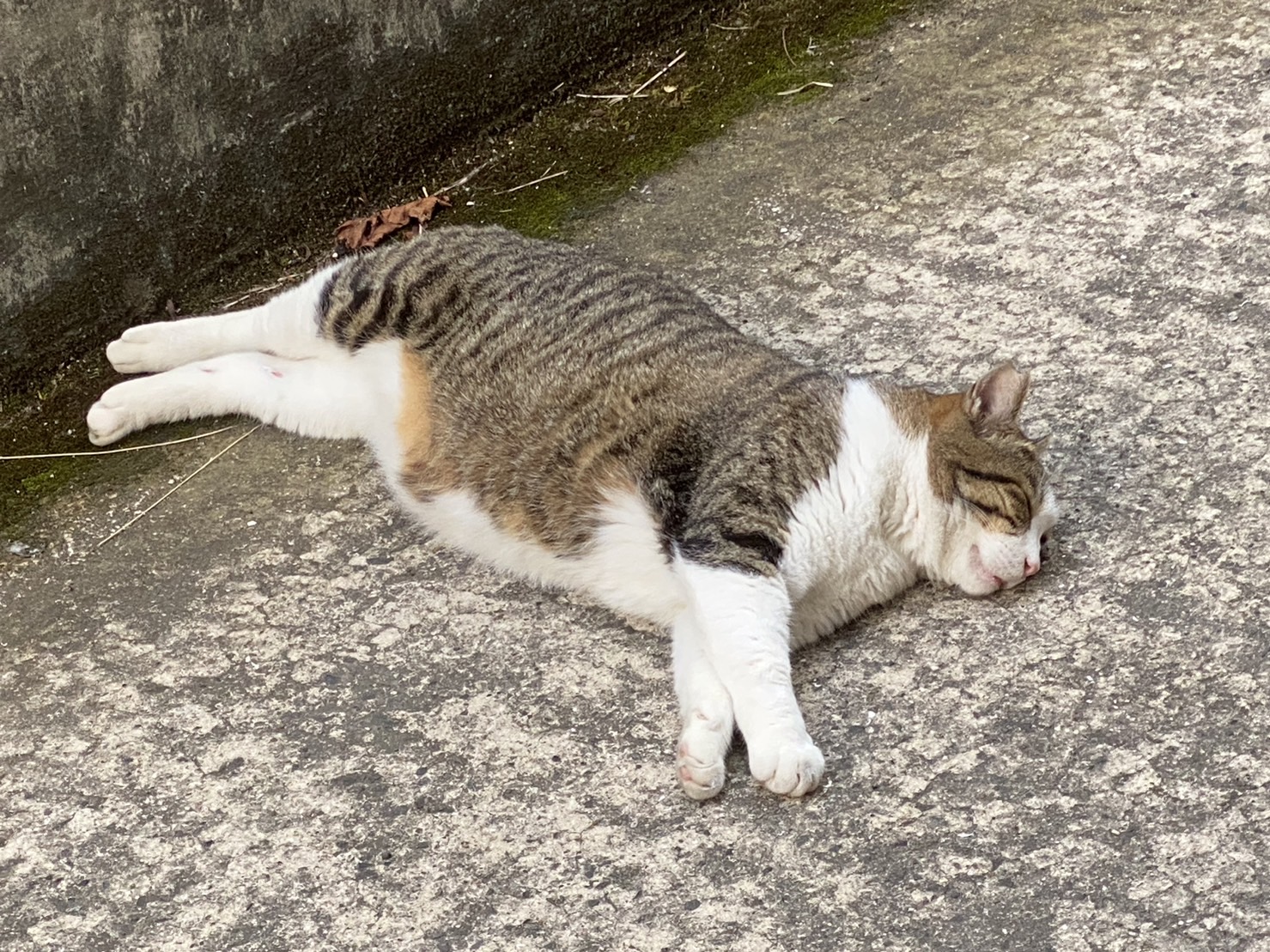 7月25日-8