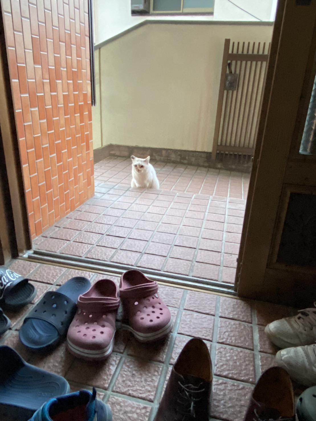 S__143843338_0